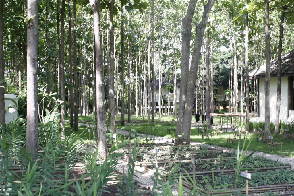 Narittaya Resort And Restaurant Chiang Mai Zewnętrze zdjęcie