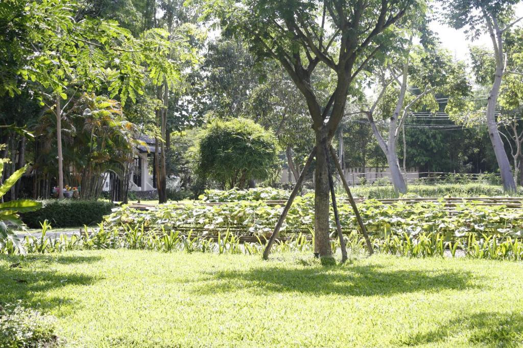 Narittaya Resort And Restaurant Chiang Mai Zewnętrze zdjęcie